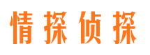 淮北外遇出轨调查取证